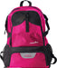 Team Sports Backpack with Ball & Cleat Compartments — Pink