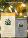 LED Christmas Lights Indoor Outdoor, 33FT 100 Count Mini String Lights