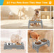 Elevated Dog Bowls for Small Medium Dogs, 3 Height Adjustable Raised Stand with 2 Thick 6" Stainless Steel Food Bowls, Non-Slip Feeder Adjusts to 2.75", 6", 7.5", Grey