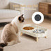 Elevated Cat Bowl, Raised Cat Food and Water Bowl Set for Indoor Cats, Splash Proof with 2 Stainless Steel Pet Food Bowl