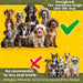 Exquisite Double Dog Coupler No Tangle Swivel for Two Medium Dogs. Premium Quality Attachment for Easy Dog Walking. You Will Absolutely Love This Amazing Gear (Black & Green)