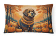 Briard Fall Throw Pillow
