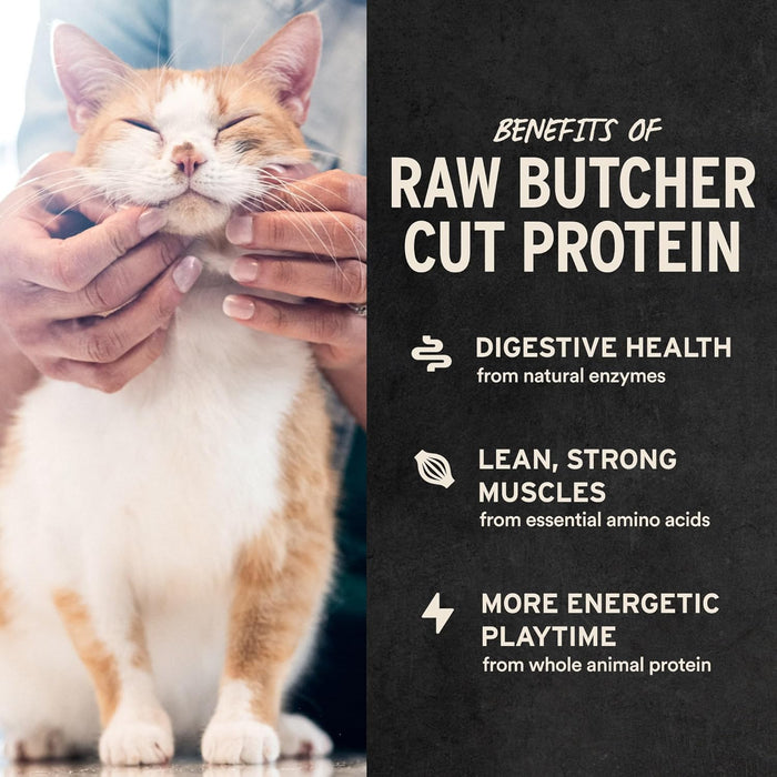 Freeze Dried Raw Chicken Hearts Cat Treats, 0.8 oz Bag