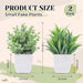 2 Pack Fake Plants Small Plants for Bathroom Office Decor