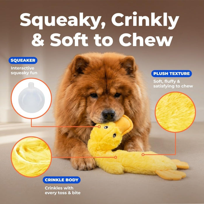 Interactive Squeaky Dog Toy - Crinkle Duck, Yellow