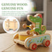 Wooden Push Toys for Toddlers 1-3, Crocodile Beating Drum Walking Pull Toy