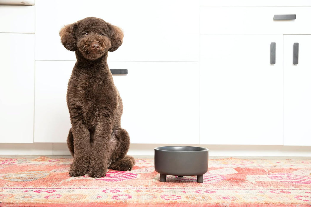 Uplift Ceramic Dog Bowl for Small Medium and Large Breeds - Heavyweight and Durable Pet Food and Water Dish Crock, Dishw
