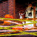 Halloween Decorations, 3inx90ft Caution Tape for Indoor and Outdoor(3 Pcs)