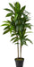 48 in Artificial Dracaena Real Touch Plant with Pot