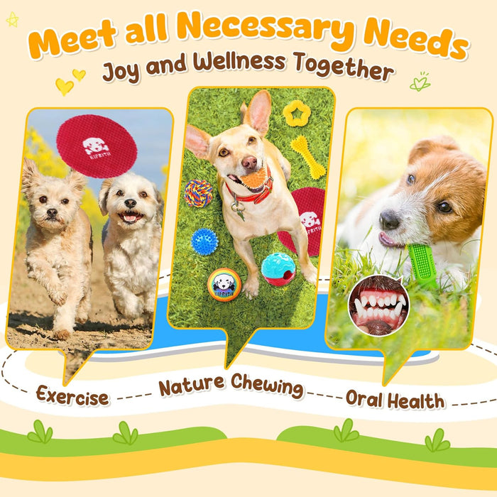 25 Pack Various Dog/Puppy Toys Set for Small & Medium Dogs