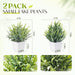 2 Pack Small Fake Plants, Mini Artificial Greenery Potted Faux Plants for Indoor Home Room Office Kitchen Farmhouse Bath