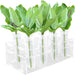 Floral Tubes Kit with Rack for Milkweed, Monarch Caterpillars Milkweed Tubes, Milkweed Cutting Feeding with Stable Acrylic Holder, 50ML Floral Vials for Butterfly Caterpillars Supplies