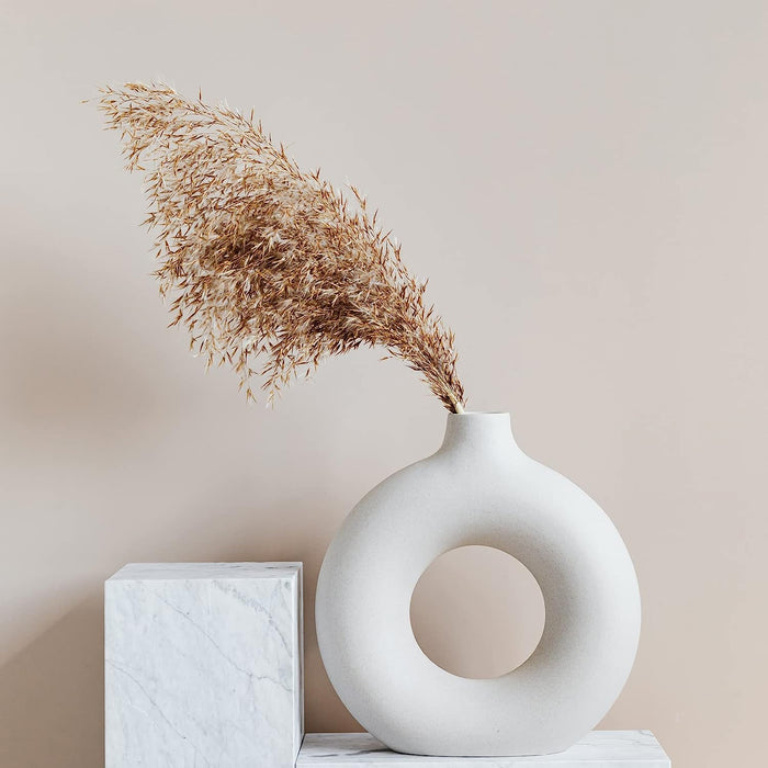 Pampas Grass Decor, Natural Dry Pampas Grass Small, Short Pampass Bulk for Farmhouse, Wall, Kitchen, Bedroom Decor, Office Decor (17 Inch )