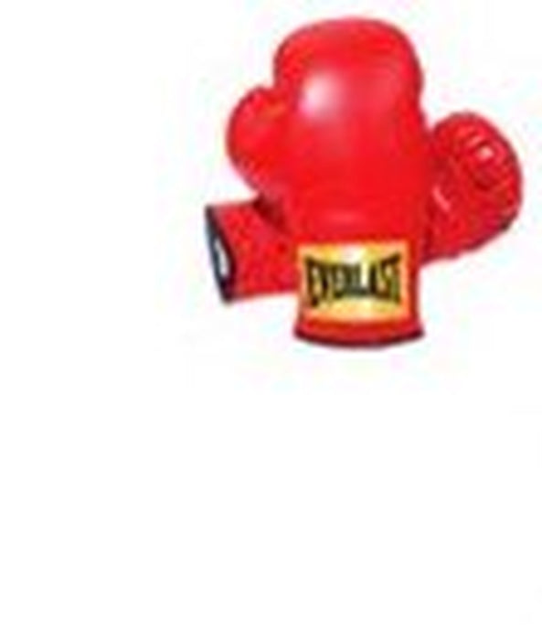 Everlast Youth 25Lb Heavy Bag Starter Kit
