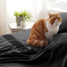 Bedsure Full Size Sheet Sets - Soft 1800 Sheets for Full Size Bed, 4 Pieces Hotel Luxury Black Sheets Full, Easy Care Polyester Microfiber Cooling Bed Sheet Set