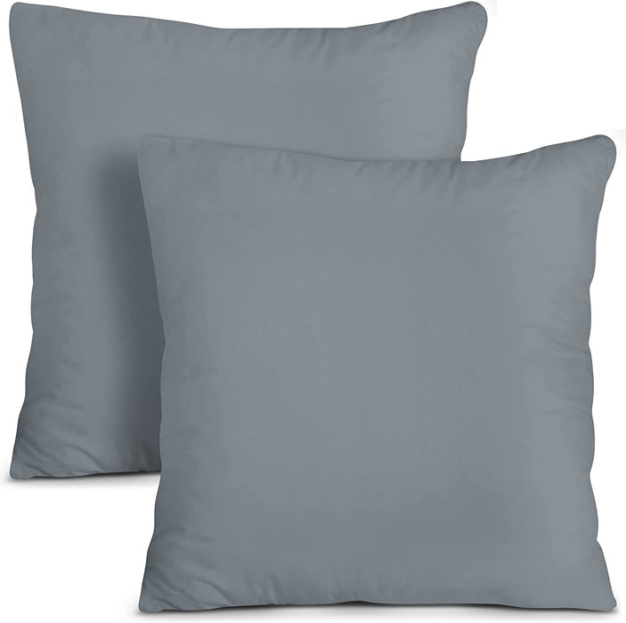 Throw Pillows Insert (Pack of 2, White) - 18 X 18 Inches Bed and Couch Pillows - Indoor Decorative Pillows