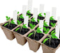 40 Pack Peat Pots Seed Starter Trays, 480 Cells Germination Seedling Pots, Organic Biodegradable Plant Germination Tray with 40 Plant Labels for Vegetable Flower, Herbs, Indoor Outdoor Garden