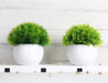 4 Pcs Mini Artificial Plants Potted Small Fake Plants for Shelf Green Plant in White Plastic Pot for Home Bathroom Decor Faux Plants (White, Set of 4)