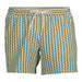 Men'S and Big Men'S All Guy Swim Shorts