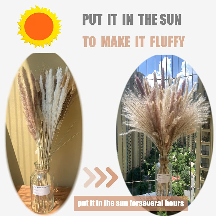 Pampas Grass 80 Pcs 17.5 Inch Natural Dried Pampas Grass - 15Pcs White Pampas & 15Pcs Brown Pampas & 30Pcs Reed Grass & 20Pcs Bunny Tail Grass,Fluffy Dried Flowers for Home Decor Wedding Boho Decor…