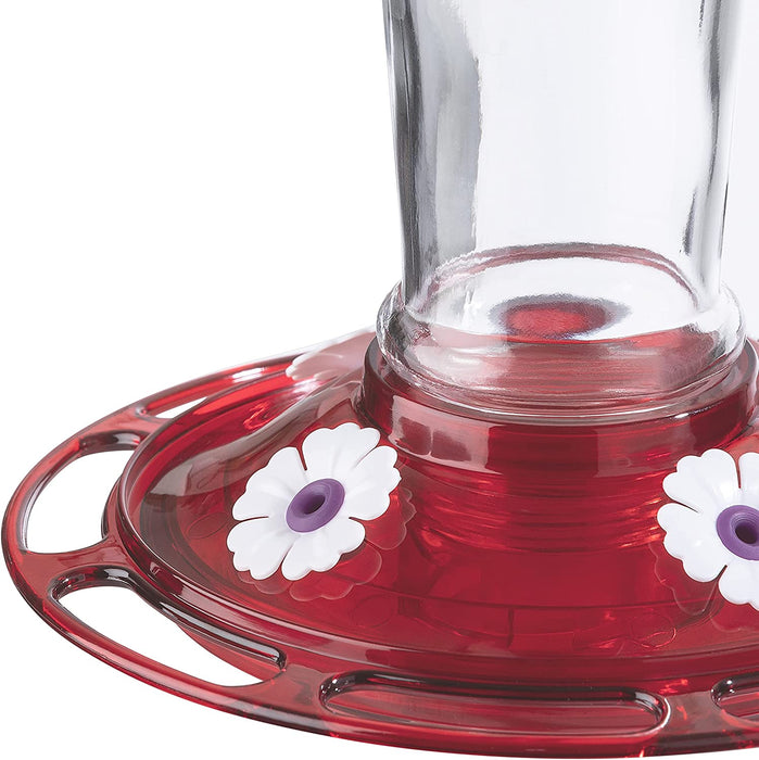 More Birds Bird Health+ Ruby Hummingbird Feeder, Glass Hummingbird Feeders for Outdoors, 4 Feeding Stations, 10 Ounces