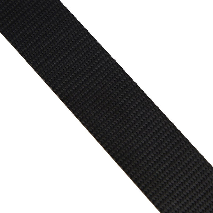 Pet Champion® Black Large No-Pull Leash with D-Ring