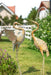 Yard Decorations Outdoor Heron Garden Art Statues Sculptures, 33-39 Inch Metal Copper Crane Yard Art Bird Lawn Ornaments for Backyard outside Porch Patio Wedding Decor, Set of 2