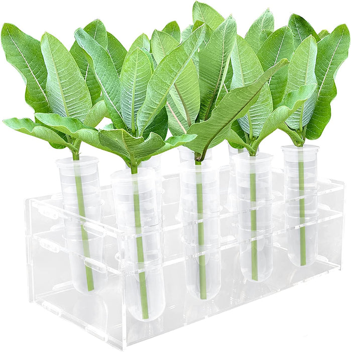 Floral Tubes Kit with Rack for Milkweed, Monarch Caterpillars Milkweed Tubes, Milkweed Cutting Feeding with Stable Acrylic Holder, 50ML Floral Vials for Butterfly Caterpillars Supplies
