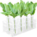 Floral Tubes Kit with Rack for Milkweed, Monarch Caterpillars Milkweed Tubes, Milkweed Cutting Feeding with Stable Acrylic Holder, 50ML Floral Vials for Butterfly Caterpillars Supplies