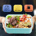 Bento Lunch Box for Adult, Bento Boxes with Fork Spoon&Muffin Silicone Cup, Compartment Bento Box Leak Proof, Microwavable Lunch Containers, Bento Box with Utensils for Work/Picnic