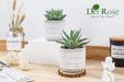 Set of 2 Succulents Plants Artificial Fake Plants for Living Room Bathroom Bedroom Aesthetic Home Kitchen Decor