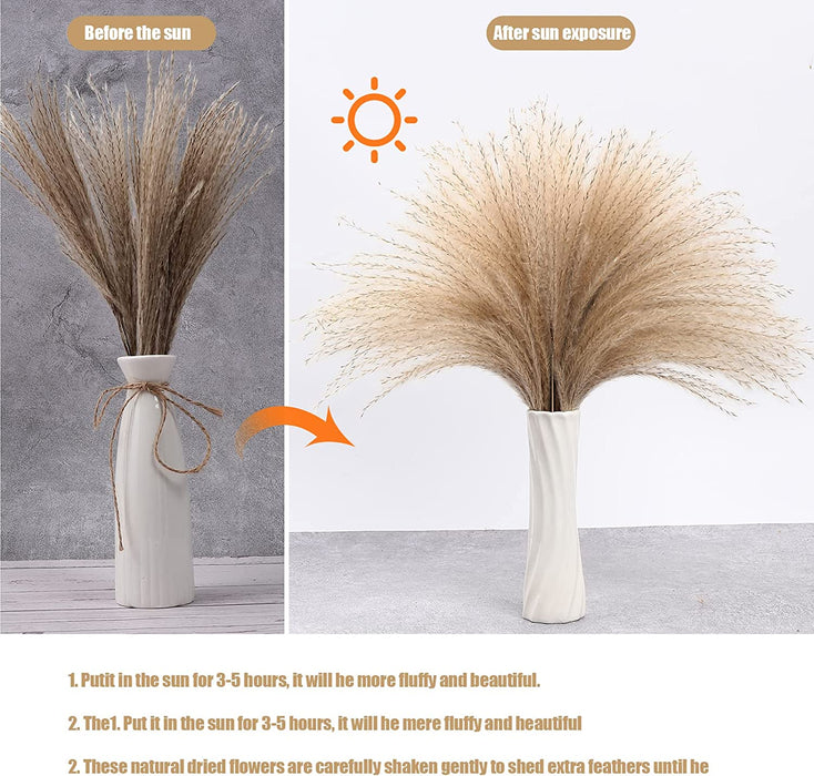 Dried Pampas Grass Boho Decor - 85 Pieces 17.5" Natural Fluffy Dried Flowers for DIY Decor Birthday Contains Pampas Grass & Pampas Flower & Reed Grass & Bunny Tail Grass & Craspedia