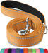 Double-Sided Reflective Dog Leash, 6 FT/5FT/4 FT, Padded Handle Nylon Dogs Leashes for Walking, Training Lead for Small & Medium Dogs, Gray, 5FT