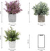 Artificial Plant, 3 Pcs Mini Plants Artificial Potted Set Fake Green Seven-Layer Grass Plant Faux Plastic Herbs Topiary Shrubs for Home Office Desk , Kitchen Counter Decoration