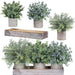 Set of 3 Mini Potted Artificial Eucalyptus Plants Faux Rosemary Plant Assortment with Wood Planter Box for Indoor Office Desk Apartment Wedding Tabletop Greenery Decorations 8.7" Tall