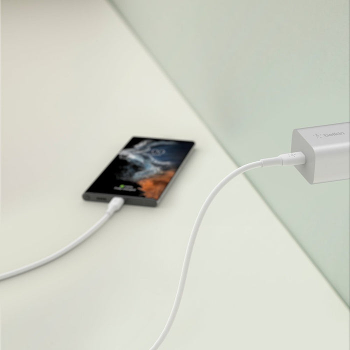 BOOSTCHARGE 20W USB Wall Charger, USB-C Power Delivery, Silver
