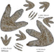 64 Pieces Dinosaur Decor Dinosaur Footprints Floor Decals Peel and Stick Dinosaur Track Stickers Removable Dinosaur Tracks Wall Decals Vinyl Footprints Wall Decal for Baby Nursery Bedroom Home Decor