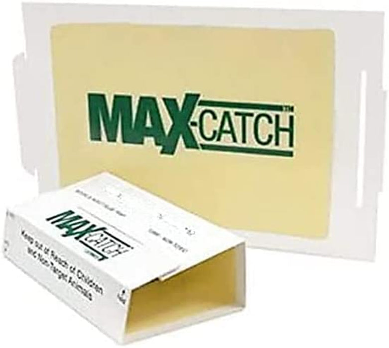 72MAX Pest Trap, 36Count, White