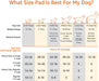 Dog and Puppy Pee Pads with Leak-Proof Quick-Dry Design for Potty Training, Standard Absorbency, Regular Size, 22 X 22 Inches - Pack of 100