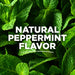 Fluoride-Free Antiplaque & Whitening Natural Toothpaste, Peppermint, 5.5 Oz. 2-Pack (Packaging May Vary)