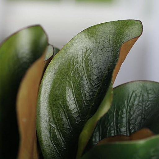 Artificial Magnolia Leaf Bush Realistic Faux Magnolia Leaves for Natural Look Greenery in Floral Designs, Wedding Decor, Home Decor, and Holiday Decorating