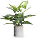 1Pc Faux Plant Indoor in Plant Pot 16"- House Plant for Farmhouse Kitchen Decor Living Room Accessories Home Office Cubicle Bookshelf Guest Room Balcony Bathroom Rustic Green Room Floor Table
