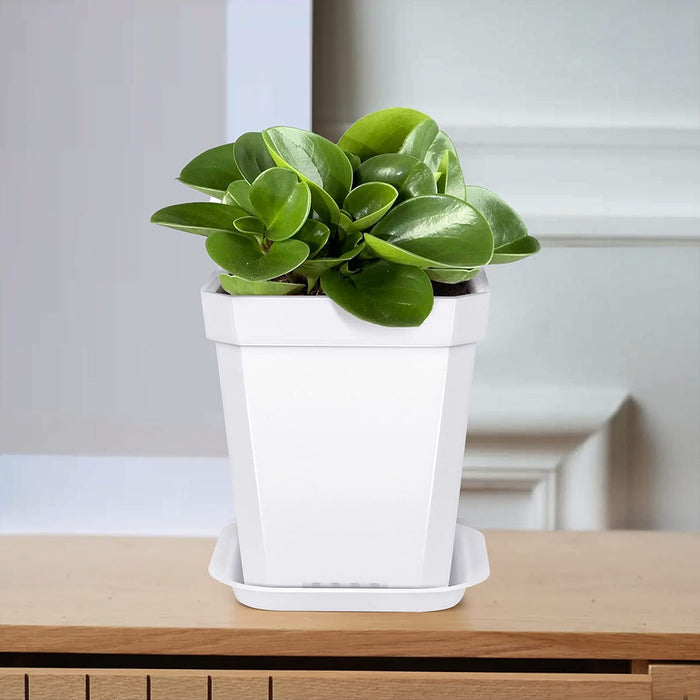 30Pcs 2.7 Inches Nursery Pots with Trays, 50Pcs Plant Labels, Thickened Square Transplanting Pots Kit, Plant Seed Starter, Drain Holes, Germination, Home Décor, Garden, Balcony, White