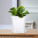 30Pcs 2.7 Inches Nursery Pots with Trays, 50Pcs Plant Labels, Thickened Square Transplanting Pots Kit, Plant Seed Starter, Drain Holes, Germination, Home Décor, Garden, Balcony, White