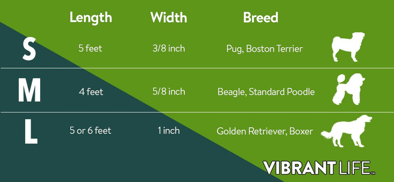 Vibrant Life Reflective Comfort Dog Leash, Large, Teal, 6Ft X 1In