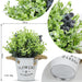 2 Pack Fake Plants in Metal Pots, Artificial Purple Lavender Plants and Blueberries, Small Artificial Greenery Farmhouse Flowers for Home Bathroom Shelf Desk Kitchen Office Party Indoor Outdoor Decor