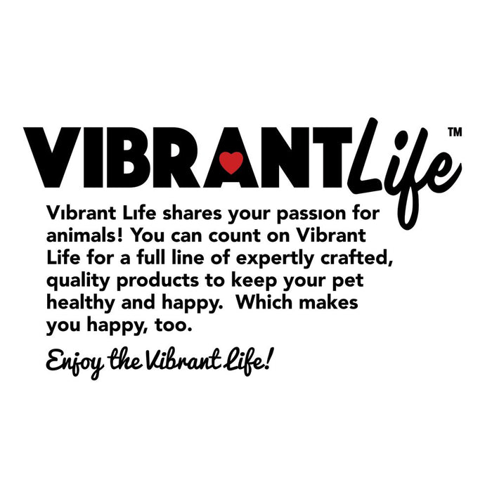 Vibrant Life Reflective Comfort Dog Leash, Large, Teal, 6Ft X 1In