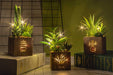 Set of 3 Artificial Succulents with Led Lights in Wooden Box, Artificial Plants Plastic Fake Topiary for Home/Office Decorations, Table Centerpiece