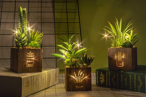 Set of 3 Artificial Succulents with Led Lights in Wooden Box, Artificial Plants Plastic Fake Topiary for Home/Office Decorations, Table Centerpiece