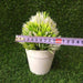 Realistic Potted Artificial Succulent Plants Home Office Desktop Bonsai Decor White